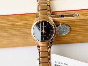 Đồng hồ nữ Citizen FE2093-54E