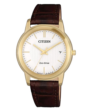 Đồng hồ nữ Citizen FE6012-11A
