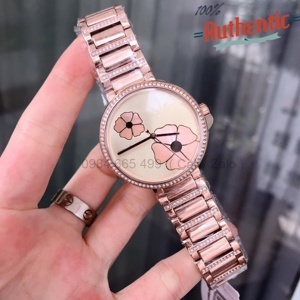 Đồng hồ nữ Michael Kors MK3836