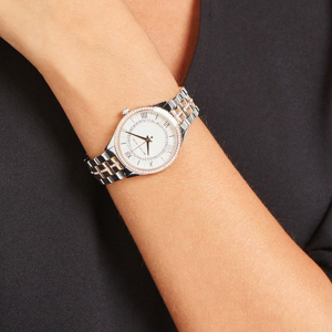 Đồng hồ nữ Michael Kors MK3979