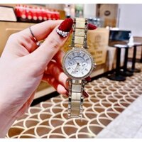 Đồng Hồ Nữ Michael Kors Parker Mini MK5842