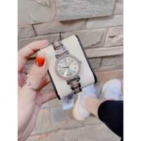 Đồng hồ nữ Michael Kors Mk3880