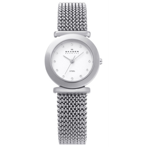 Đồng hồ nữ Skagen 107SSSS2