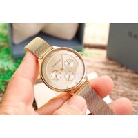 Đồng hồ nữ Skagen 36mm full box mã 2313- 2312