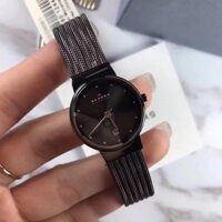 Đồng Hồ Nữ Skagen Dây Đen 355SMM1 26mm Chính Hãng