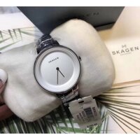 Đồng Hồ Nữ Skagen Dây Kim Loại Silver SKW2329 36mm Chính Hãng