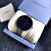 Đồng Hồ Nữ Skagen Dây Lưới Bạc SKW2384 38mm Chính Hãng