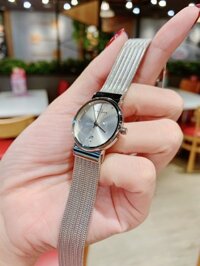 Đồng Hồ Nữ Skagen Dây Lưới Silver 355SSS1 26mm Chính Hãng