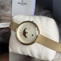 Đồng Hồ Nữ Skagen Dây Lưới Gold SKW2373 38mm Chính Hãng