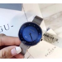 Đồng Hồ Nữ Skagen Dây Lưới Silver SKW2293 Blue 38mm Chính Hãng