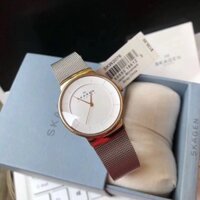 Đồng Hồ Nữ Skagen Dây Lưới SKW2076 32mm Chính Hãng