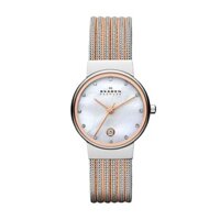 Đồng Hồ Nữ Skagen Dây Lưới Demi 355SSRS 26mm Chính Hãng