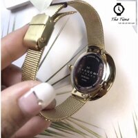 Đồng Hồ Nữ Skagen SK SKW2141