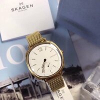 Đồng hồ Nữ Skagen SK SKW2426