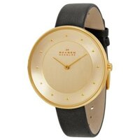 Đồng hồ nữ SKAGEN SKW2262