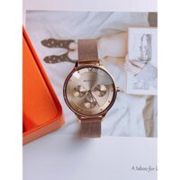 Đồng hồ nữ Skagen SKW2314 Chronograph Rose Gold Tone Stainless Steel Watch, Authentic, Fullbox, Luxury diamond watch