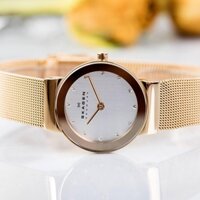 Đồng hồ nữ thời trang cao cấp Skagen 358SRRD