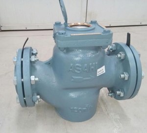 Đồng hồ nước Asahi WVM150