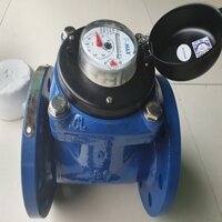 Đồng hồ nước DN80