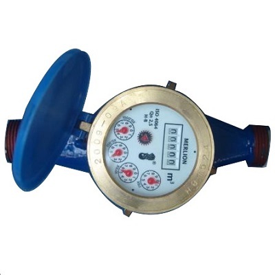 Đồng hồ nước Merlion LXS20