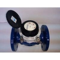 Đồng Hồ Nước Sensus DN40
