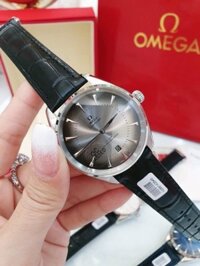 Đồng hồ Omega nam dây da máy cơ tự động Omega Seamaster Automatic – DWatch O1