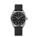 Đồng hồ Omega Railmaster Master Chronometer Co-Axial 220.12.40.20.01.001