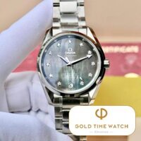 Đồng Hồ Omega Seamaster Aqua Terra Master Co-Axial Chronometer 231.10.39.21.57.001