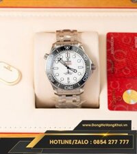 Đồng hồ Omega Seamaster Diver 300m fake