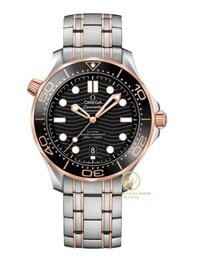 Đồng hồ Omega Seamaster Diver 300M 210.20.42.20.01.001