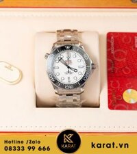 Đồng hồ Omega Seamaster Diver 300m fake