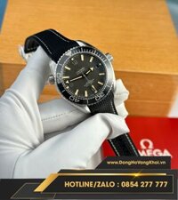 Đồng hồ Omega Seamaster Planet Ocean 600M mặt đen