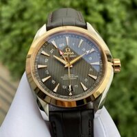 Đồng Hồ Omega Seamaster Co‑Axial Chronometer GMT 231.23.43.22.06.001