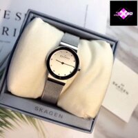 Đồng Hồ Skagen Nữ SK 358SGGD/ SK 358SSSD