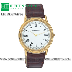 Đồng hồ Titan NAM 1488YL03