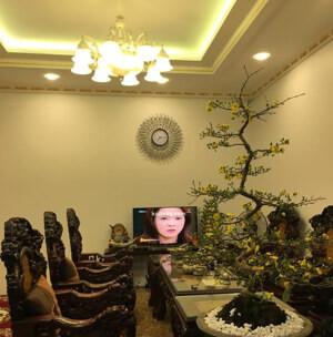 Đồng hồ treo tường phòng khách HQ006