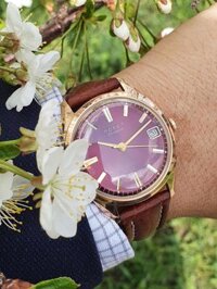 Đồng hồ vàng đúc Liên Xô Poljot 23 jewels automatic mặt huyết