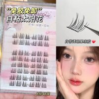 Dòng Hoa Hướng Dương không keo Feixi, thân cây cực mịn, hoa hướng dương mô phỏng tự nhiên, cảm cúm giả