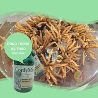 Đông trùng hạ thảo CordyMax Cs-4