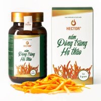 Đông Trùng Hạ Thảo Hector Cordyceps Militaris Dạng Sợi Nấm Sấy Thăng Hoa - Tăng Sức Đề Kháng, Bồi Bổ Cơ Thể