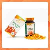 Đông Trùng Hạ Thảo Hector Cordyceps Militaris Dạng Sợi Nấm Sấy Thăng Hoa - Tăng Sức Đề Kháng, Bồi Bổ Cơ Thể