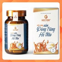 Đông Trùng Hạ Thảo Hector Cordyceps Militaris Dạng Viên Nang - Tăng Sức Đề Kháng, Bồi Bổ Cơ Thể, Cải Thiện Sức Khỏe