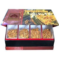 Đông Trùng Hạ Thảo JP Militaris 50g (Linh chi nông lâm sản xuất)