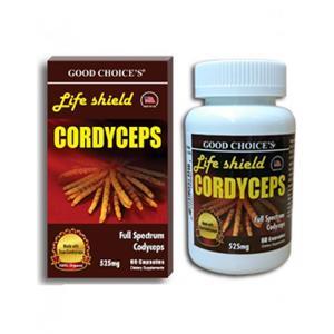 Đông trùng hạ thảo Life Shield Cordyceps
