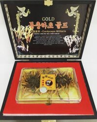 Đông trùng hạ thảo nguyên con – Gold Cordyceps Militaris Dong Chung Ha Cho Gold 45g của Hàn Quốc
