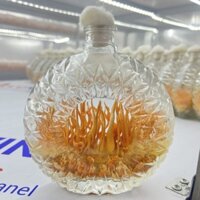 Đông Trùng Hạ Thảo Sinh Khối Tươi cấy chai XO 500ml (chưa ngâm tinh chất gạo) – HP Long An