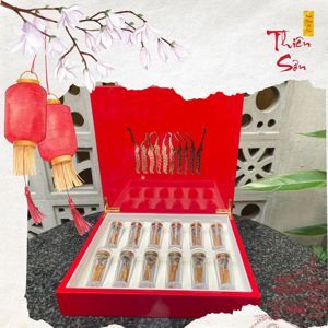 Đông trùng hạ thảo Tây Tạng nguyên con hộp 10g