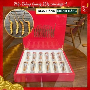 Đông trùng hạ thảo Tây Tạng nguyên con hộp 10g