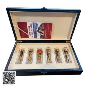 Đông trùng hạ thảo Tây Tạng thiên nhiên nguyên con 20g