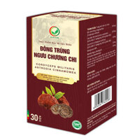 Đông Trùng Ngưu Chương Chi hỗ trợ tăng cường sức khỏe, giảm mệt mỏi
